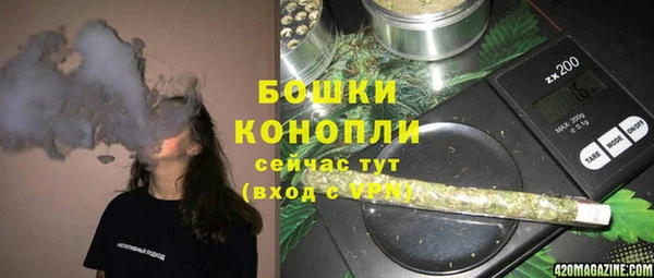 гашик Костерёво
