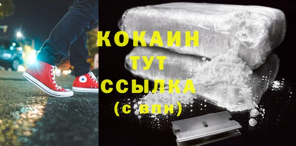 гашик Костерёво