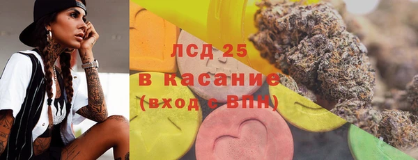 гашик Костерёво