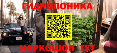 PSILOCYBIN Пушкино