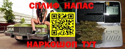 прущие грибы Пыть-Ях