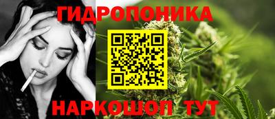 прущие грибы Пыть-Ях