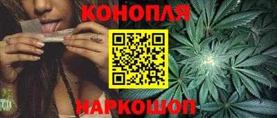 прущие грибы Пыть-Ях