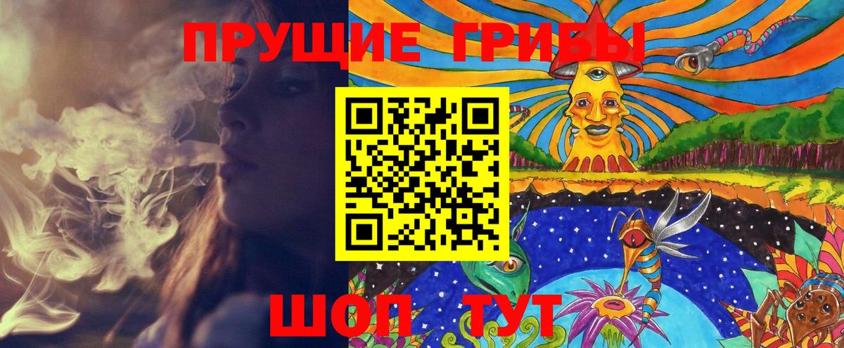 где купить   Псилоцибиновые грибы Magic Shrooms  Вход с VPN  Троицк 