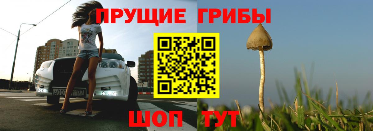 Галлюциногенные грибы Cubensis Троицк